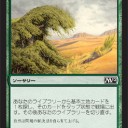 EDHを打って来た感想と、カード募集（ちょっと更新