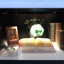 「コレクション＆ミステリー　ポケモン　イーブイとふしぎな本」　＠宮崎シーガイア～導入？