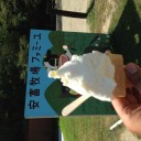 言葉は不要