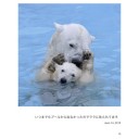 ポロロとマルル