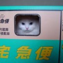 あたまがいたい・・・