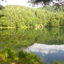 やっと会えた原風景