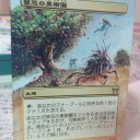 【拡張アート】禁忌の果樹園