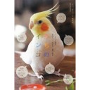 インコの「あるある」
