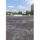 珍道中最終日・・・主に広島マラソン？でした