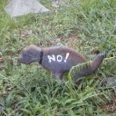 ＮＯ。
