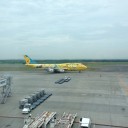 週末の予定