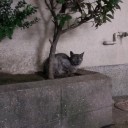 はぁー