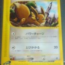 女の子だってポケモン～みどりや告知