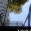 ＃Wendy21   気管支炎・基幹支援