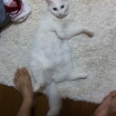 四国最強位新名称案に乗ってみる。