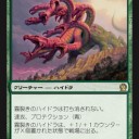 テーロスのhydraさん