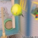 ３連休初日