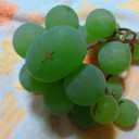 2013年9月21日（土）