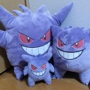 揃った・・・