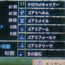 ゴア完走