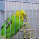 引きこもり２日目