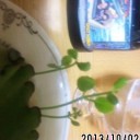 精神科診察