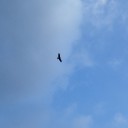 木曜　〓晴れとお出かけと〓