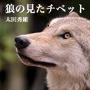 しんじつは・・・