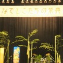 なでしこたちの祭典