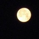月 ～full moon～