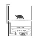 亀の室内飼育の様子
