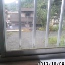 #Wendy21   雀が写らない