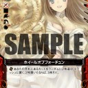 z/x 公開