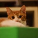 はじめてみた・・・