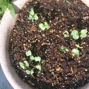腐ったヘドロは投げ捨てろ