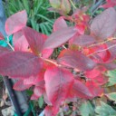 2013年10月14日（月・祝）