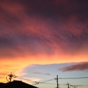 火曜　〓台風と灰と〓