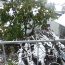 もう来た！早すぎる初雪