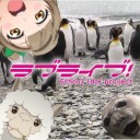 気づいたら明日もう地区決勝