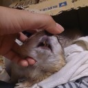 ビックリ事件簿