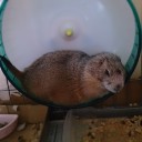 ビックリ事件簿