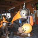 大沼の紅葉はまだですね