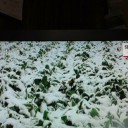 2013年10月16日（水）