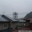 カラス
