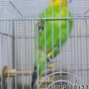セルフヘルプ・フォーラム終了