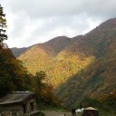 紅葉狩り
