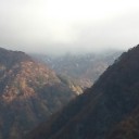 紅葉狩り
