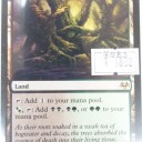 買取カードのお知らせ
