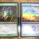 今月のFNMは中止に・・・・。