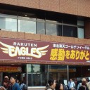 2013年11月4日（月・祝）