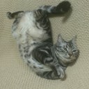 風邪の1ヵ月
