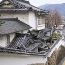 石を見る