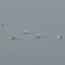空振り