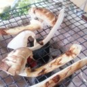 秋の遠足。